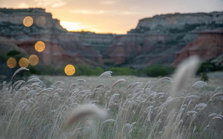 Explore Lone Star