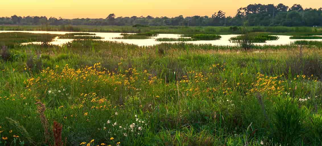 Prairies and Lakes Region